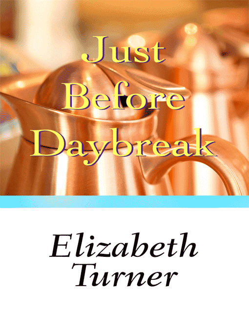 Cover image for Just Before Daybreak